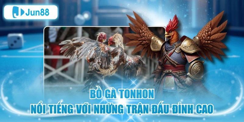 Bồ Gà Tonhon - Nổi Tiếng Với Những Trận Đấu Đỉnh Cao
