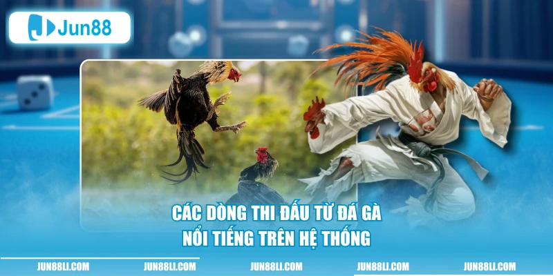 Các dòng thi đấu từ đá gà nổi tiếng trên hệ thống