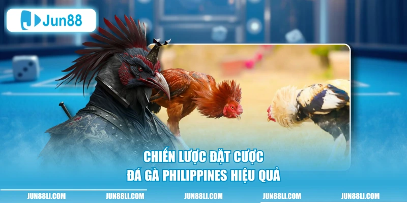 Chiến lược đặt cược đá gà Philippines hiệu quả