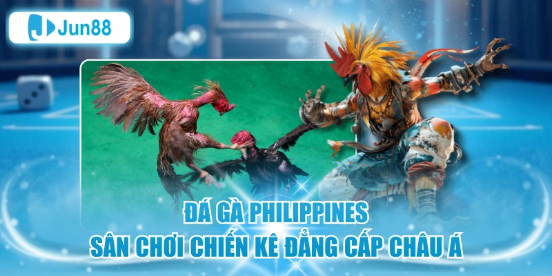 Đá Gà Philippines - Sân Chơi Chiến Kê Đẳng Cấp Châu Á