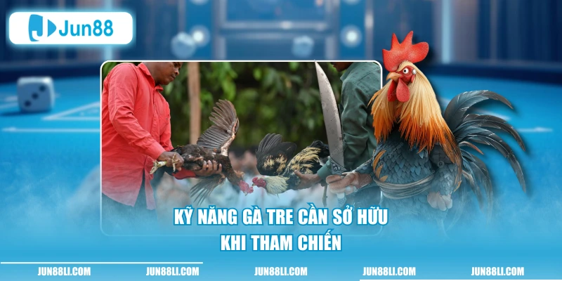 Kỹ năng gà tre cần sở hữu khi tham chiến