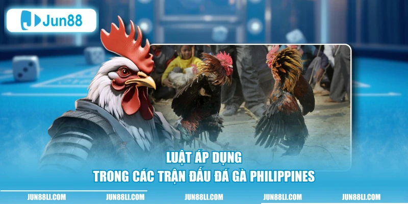 Luật áp dụng trong các trận đấu đá gà Philippines