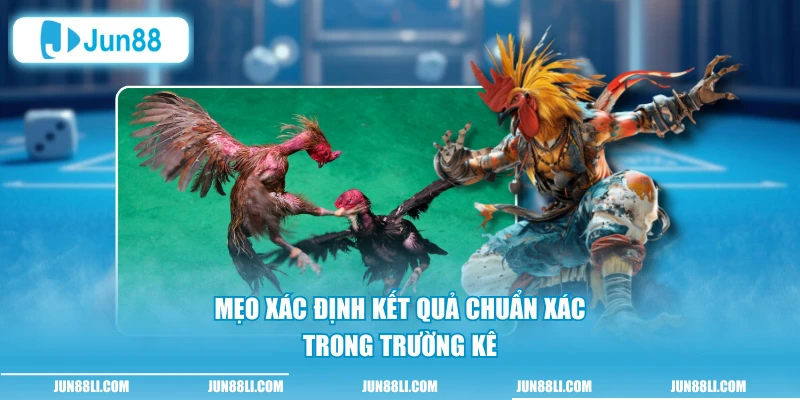 Mẹo xác định kết quả chuẩn xác trong trường kê