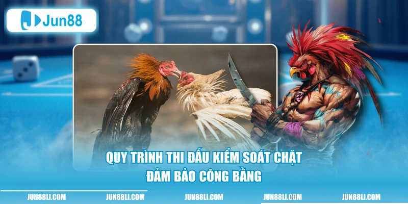 Quy trình thi đấu kiểm soát chặt đảm bảo công bằng